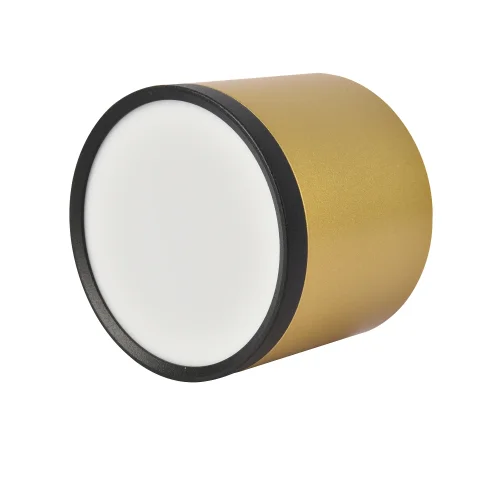 Светильник накладной LED Baral 3082-2C Favourite золотой 1 лампа, основание золотое в стиле современный круглый фото 3