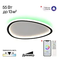 Люстра потолочная LED с пультом Trio CL215B241E Citilux белая на 1 лампу, основание чёрное в стиле современный с пультом