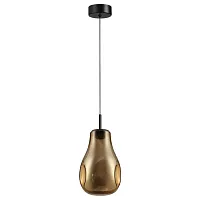 Светильник подвесной LED Nave 5098/4LA Odeon Light золотой на 1 лампу, основание чёрное в стиле хай-тек выдувное