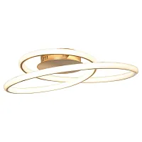 Люстра потолочная LED Ingersoll LSP-8346 Lussole золотая белая на 1 лампа, основание золотое в стиле современный хай-тек кольца