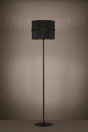 Торшер Paraguaio 390036 Eglo  чёрный 1 лампа, основание чёрное в стиле современный
 фото 2