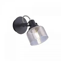 Бра Evette FR5042CW-01B Freya серый чёрный 1 лампа, основание чёрное в стиле современный 