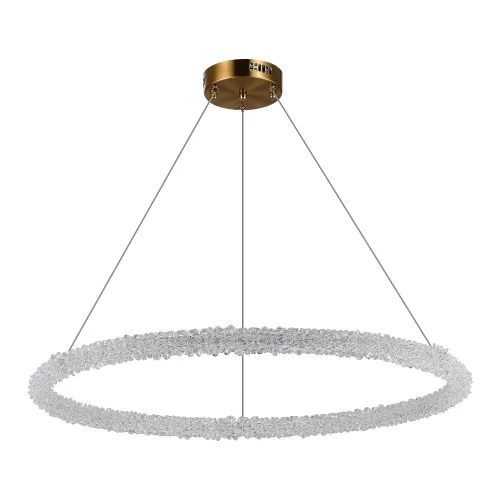 Люстра подвесная LED с пультом Avana SL6110.223.01 ST-Luce прозрачная на 1 лампа, основание золотое в стиле современный с пультом кольца фото 2