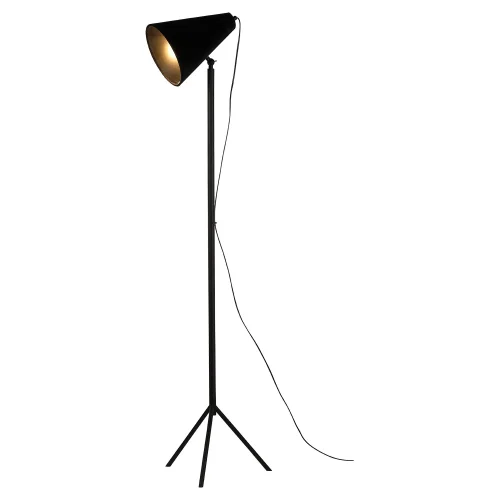 Торшер Cozy GRLSP-0563 Lussole  чёрный 1 лампа, основание чёрное в стиле современный
