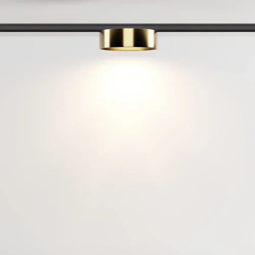 Трековый светильник Zon 3000К 12Вт 100° Magnetic track system Levity TR189-1-12W3K-BBS Maytoni латунь для шинопроводов серии Magnetic track system Levity латунь чёрный фото 4