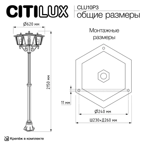 Парковый светильник Forts CLU10P3 Citilux уличный IP54 чёрный на 3 лампы, плафон прозрачный в стиле классический современный E27 фото 6