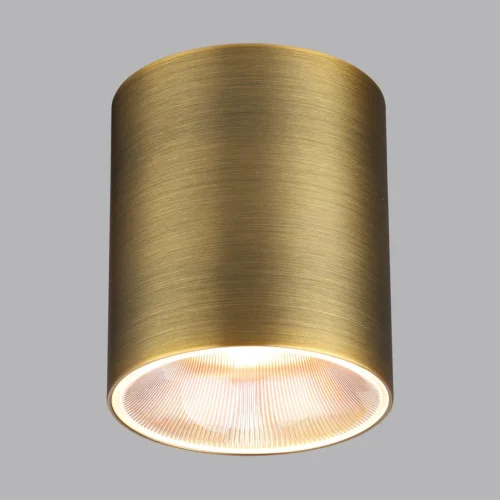 Светильник накладной LED Brim 7137/12CL Odeon Light бронзовый на 1 лампу, основание бронзовое в стиле современный хай-тек круглый фото 4