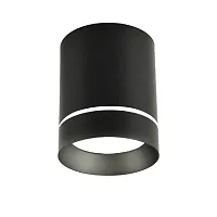 Светильник накладной Darar 3063-1C Favourite чёрный 1 лампа, основание чёрное в стиле современный круглый