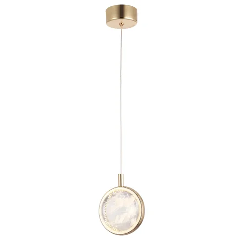 Светильник подвесной LED CIELO SP6W LED GOLD Crystal Lux прозрачный 1 лампа, основание золотое в стиле современный  фото 4