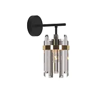 Бра Pavarolo OML-67701-01 Omnilux прозрачный на 1 лампу, основание чёрное в стиле современный 