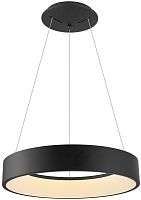 Люстра подвесная LED Michell APL.052.13.60 Aployt чёрная на 1 лампа, основание чёрное в стиле современный кольца