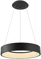 Люстра подвесная LED Michell APL.052.13.60 Aployt чёрная на 1 лампу, основание чёрное в стиле современный кольца