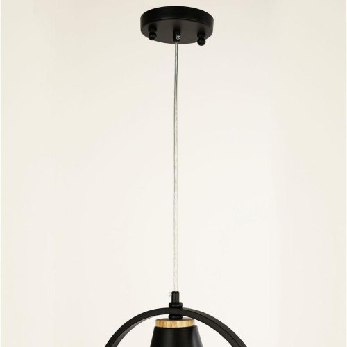 Светильник подвесной Uccello 2938-1P F-promo чёрный 1 лампа, основание чёрное в стиле кантри птички фото 3