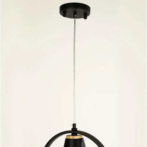 Светильник подвесной Uccello 2938-1P F-promo чёрный 1 лампа, основание чёрное в стиле кантри птички фото 3