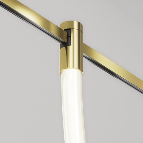 Трековый светильник LED Magnetic trаck system Flarity TR154-1-27W4K-BS Maytoni белый для шинопроводов серии Magnetic trаck system Flarity латунь фото 9 Трековый светильник LED Magnetic trаck system Flarity TR154-1-27W4K-BS Maytoni белый для шинопроводов серии Magnetic trаck system Flarity латунь фото 9