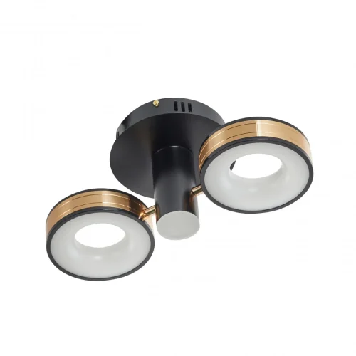 Люстра потолочная LED Ferrara-71040 271040/2R BK/GD Arte Milano белая на 1 лампу, основание чёрное в стиле современный хай-тек фото 11