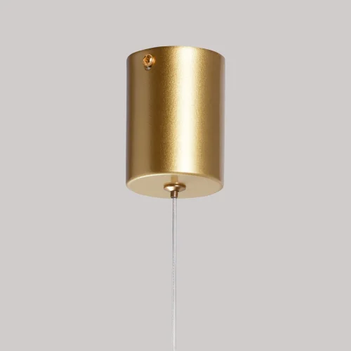 Светильник подвесной LED Конти 488011901 DeMarkt прозрачный 1 лампа, основание золотое в стиле хай-тек  фото 8