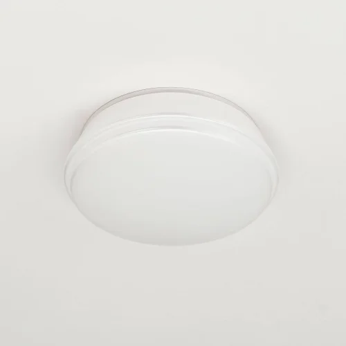 Светильник точечный LED Дельта CLD6008N Citilux белый 1 лампа, основание белое в стиле современный  фото 4