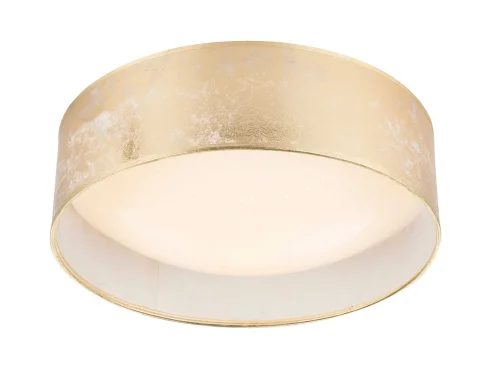 Светильник потолочный LED Amy 15187D7 Globo золотой 1 лампа, основание золотое в стиле современный 
