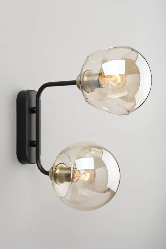 Бра лофт Fasano OML-94201-02 Omnilux прозрачный янтарный на 2 лампы, основание чёрное в стиле лофт  фото 4