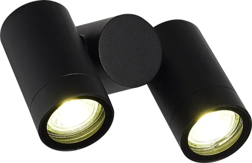 Настенный светильник уличный Visioni SL9011.402.02 ST-Luce уличный IP65 чёрный на 2 лампы, плафон чёрный в стиле хай-тек современный GU10