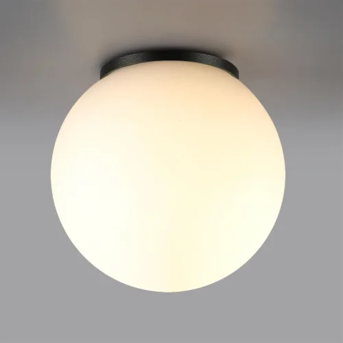 Потолочный светильник уличный Viva 7124/1C Odeon Light уличный IP54 чёрный на 1 лампу, плафон белый в стиле хай-тек современный G9 фото 3
