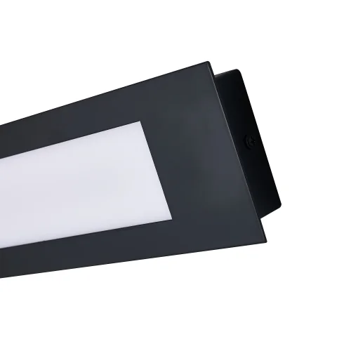 Светильник потолочный LED Meridiem 4004-1W Favourite белый 2 лампы, основание чёрное в стиле современный  фото 4