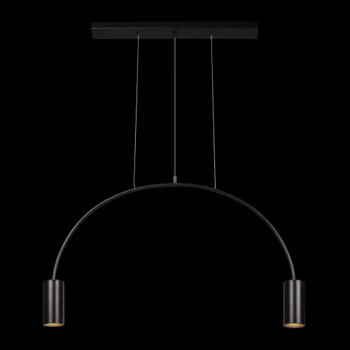 Светильник подвесной Volta 5044-2 LOFT IT чёрный 2 лампы, основание чёрное в стиле современный лофт  фото 2