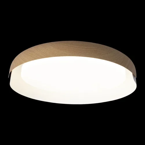 Светильник потолочный LED Coin 10198 White LOFT IT белый бежевый коричневый 1 лампа, основание коричневое белое в стиле современный  фото 4