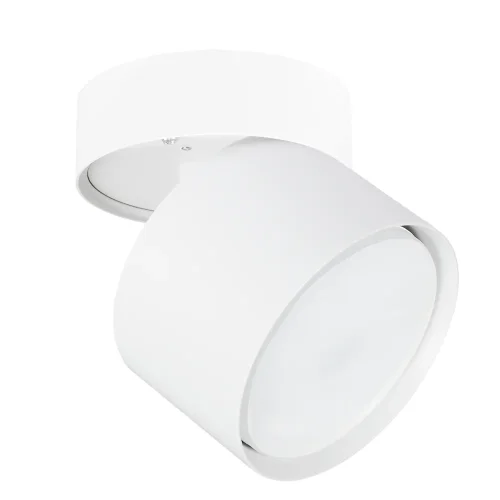 Светильник накладной Intercrus A5549PL-1WH Arte Lamp белый 1 лампа, основание белое в стиле модерн круглый