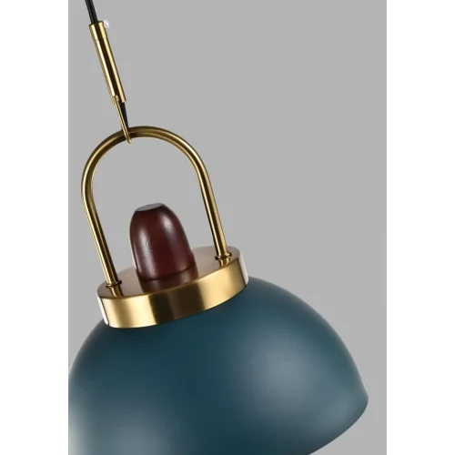 Светильник подвесной Ravenna V10448-1P Moderli зелёный 1 лампа, основание зелёное в стиле лофт  фото 2
