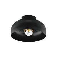 Светильник потолочный Mogano 2 900553 Eglo чёрный 1 лампа, основание чёрное в стиле современный лофт 