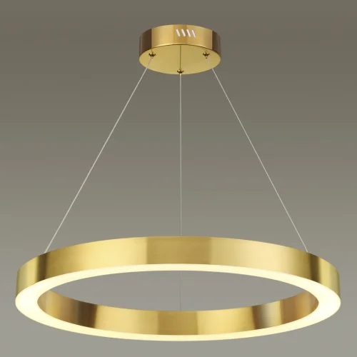Светильник подвесной LED Brizzi 3885/35LG Odeon Light золотой 1 лампа, основание золотое в стиле хай-тек современный кольца фото 5