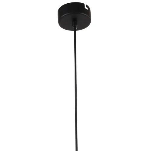 Светильник подвесной LED Aenigma 2556-1P Favourite прозрачный 1 лампа, основание чёрное в стиле современный трубочки фото 3