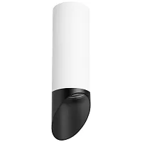 Светильник накладной Rullo R48637 Lightstar чёрный белый 1 лампа, основание белое в стиле хай-тек круглый