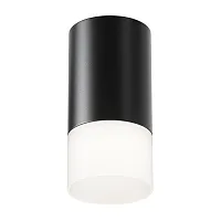 Светильник накладной Pauline C007CW-01B Maytoni чёрный белый 1 лампа, основание чёрное в стиле модерн круглый