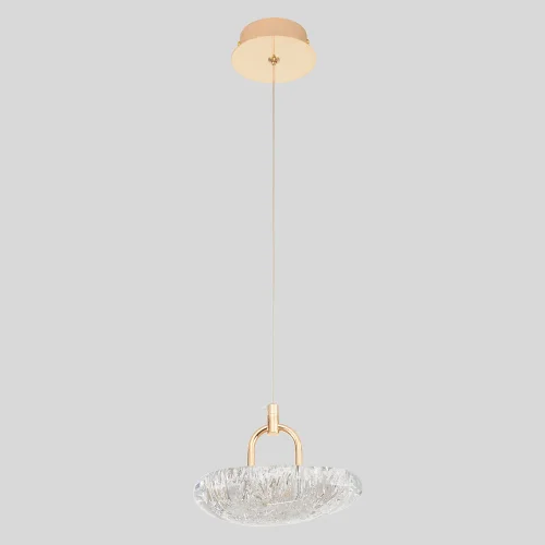 Светильник подвесной LED с пультом FELICIDAD SP9W LED Crystal Lux прозрачный на 1 лампу, основание золотое в стиле современный фото 4
