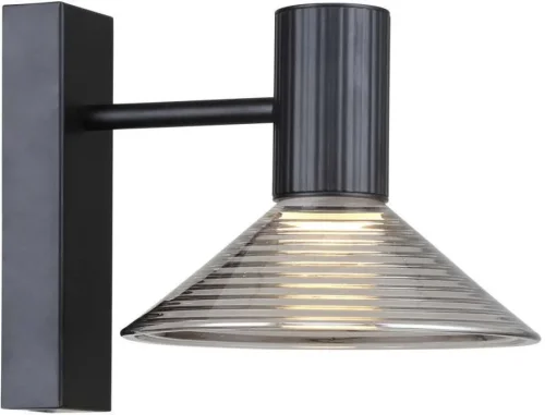 Бра LED Feris 4622-1W F-promo прозрачный на 1 лампу, основание чёрное в стиле лофт 
