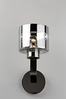 Бра Lizzano OML-88901-01 Omnilux серый прозрачный 1 лампа, основание хром в стиле классический 