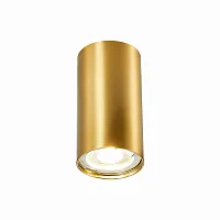 Светильник накладной St110 ST110.207.01 ST-Luce золотой 1 лампа, основание золотое в стиле современный хай-тек круглый