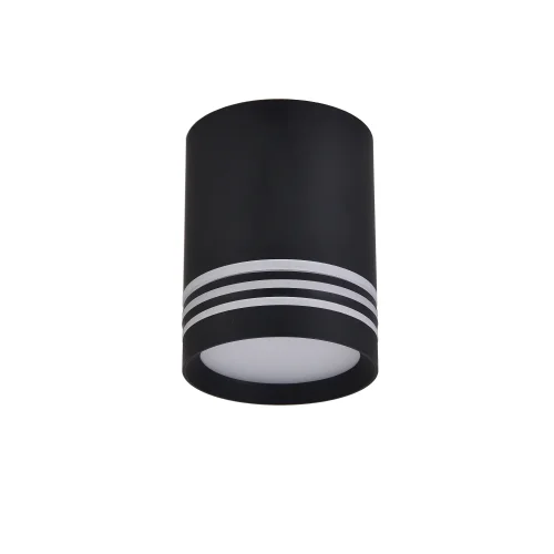 Светильник накладной Darar 3066-1C Favourite чёрный 1 лампа, основание чёрное в стиле современный круглый фото 2