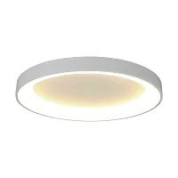 Светильник потолочный LED Niseko 8018 Mantra белый 1 лампа, основание белое в стиле модерн 