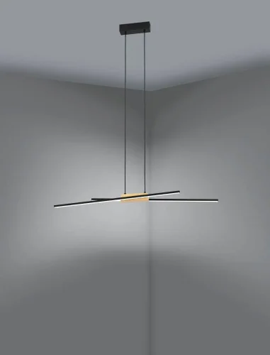 Светильник подвесной LED Panagria 900489 Eglo чёрный на 2 лампы, основание чёрное в стиле современный хай-тек фото 4
