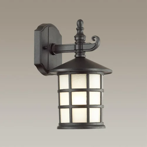 Настенный светильник уличный HOUSE 4042/1W Odeon Light уличный IP44 чёрный на 1 лампу, плафон белый в стиле кантри E27 фото 5