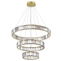Люстра подвесная LED Vekia 5015/88L Odeon Light прозрачная на 1 лампа, основание золотое в стиле модерн кольца