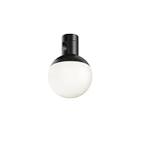 Трековый светильник Luna Flarity 4000K 5Вт 120° TR149-1-5W4K-B Maytoni белый для шинопроводов серии Luna чёрный