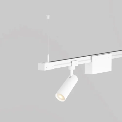Гибкий подвес для уличной трековой системы Exility IP O-TR001-PW-H2M Maytoni белый в стиле современный хай-тек для светильников серии Exility IP exility ip уличная фото 8 Гибкий подвес для уличной трековой системы Exility IP O-TR001-PW-H2M Maytoni белый в стиле современный хай-тек для светильников серии Exility IP exility ip уличная фото 8