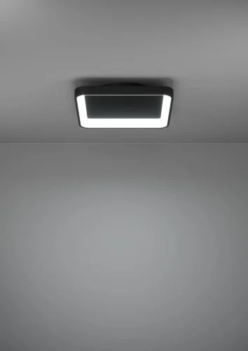 Светильник потолочный LED Loretello 901252 Eglo чёрный на 1 лампу, основание чёрное в стиле современный квадратный фото 7
