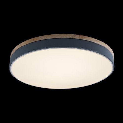 Светильник потолочный LED Axel 10001/36 Grey LOFT IT белый 1 лампа, основание серое в стиле модерн  фото 5