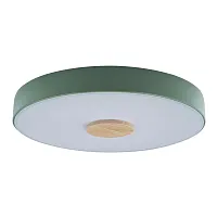 Светильник потолочный LED Axel 10003/24 Green LOFT IT белый 1 лампа, основание зелёное в стиле современный тарелка